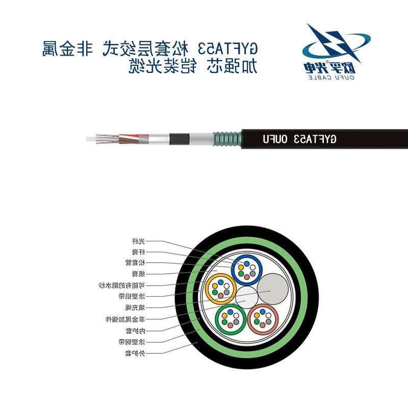 株洲市GYFTA53光缆