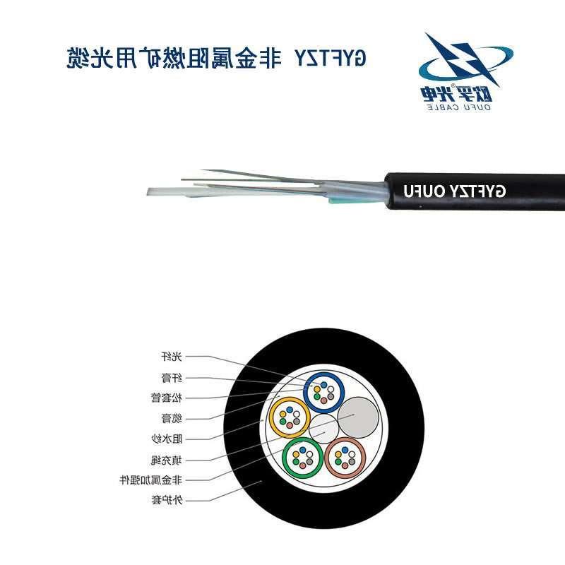 武清区GYFTZY光缆